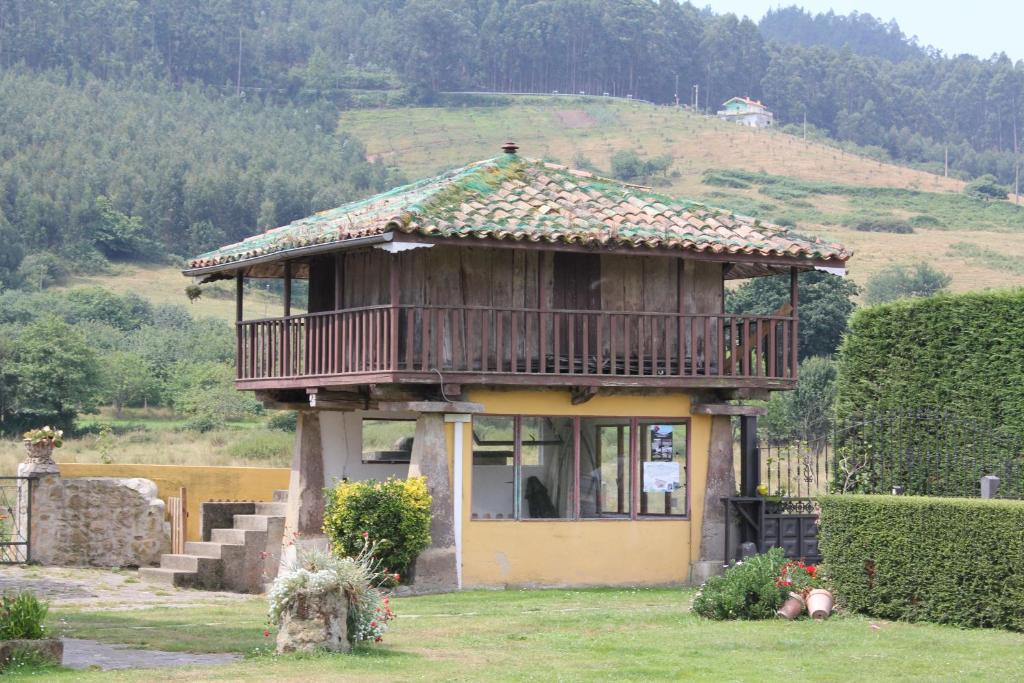 Imagen 5